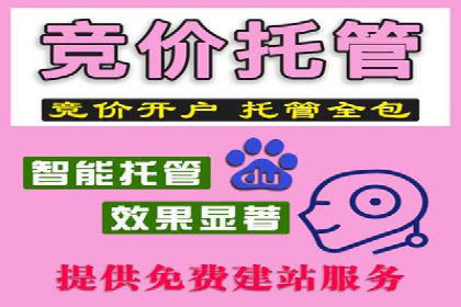 SEM百度竞价实战：打造爆款广告案例